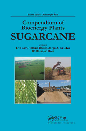 Lam / Carrer / da Silva |  Compendium of Bioenergy Plants | Buch |  Sack Fachmedien
