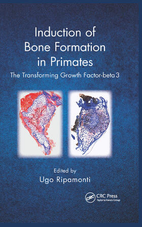 Ripamonti |  Induction of Bone Formation in Primates | Buch |  Sack Fachmedien