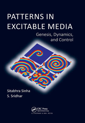 Sinha / Sridhar |  Patterns in Excitable Media | Buch |  Sack Fachmedien