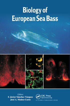 Vázquez / Muñoz-Cueto |  Biology of European Sea Bass | Buch |  Sack Fachmedien