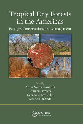 Sanchez-Azofeifa / Powers / Fernandes |  Tropical Dry Forests in the Americas | Buch |  Sack Fachmedien