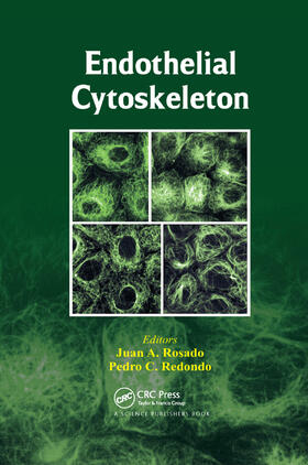 Rosado / Redondo |  Endothelial Cytoskeleton | Buch |  Sack Fachmedien