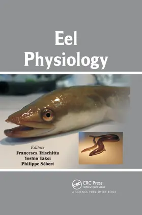 Trischitta / Takei / Sebert |  Eel Physiology | Buch |  Sack Fachmedien