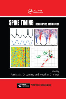DiLorenzo / Victor |  Spike Timing | Buch |  Sack Fachmedien