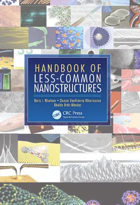 Kharisov / Kharissova / Ortiz-Mendez |  Handbook of Less-Common Nanostructures | Buch |  Sack Fachmedien