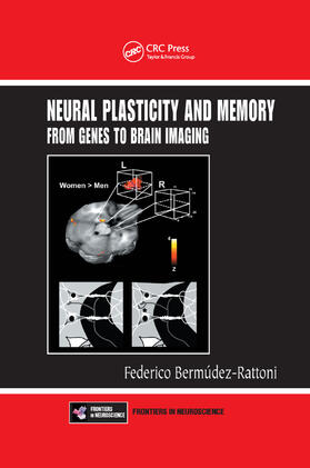 Bermudez-Rattoni |  Neural Plasticity and Memory | Buch |  Sack Fachmedien