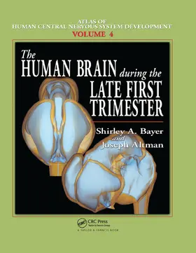 Bayer / Altman |  The Human Brain During the Late First Trimester | Buch |  Sack Fachmedien