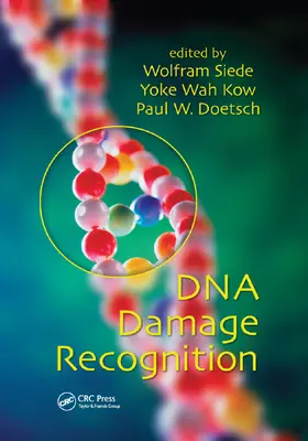 Siede / Doetsch |  DNA Damage Recognition | Buch |  Sack Fachmedien