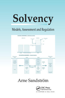 Sandstrom |  Solvency | Buch |  Sack Fachmedien