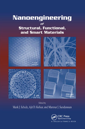Schulz / Kelkar / Sundaresan |  Nanoengineering of Structural, Functional and Smart Materials | Buch |  Sack Fachmedien