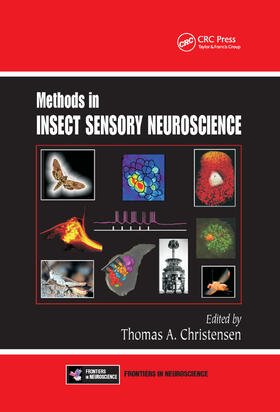 Christensen |  Methods in Insect Sensory Neuroscience | Buch |  Sack Fachmedien