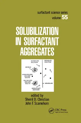 Christian / Scamehorn | Solubilization in Surfactant Aggregates | Buch | 978-0-367-40179-5 | sack.de