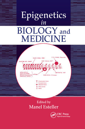 Esteller |  Epigenetics in Biology and Medicine | Buch |  Sack Fachmedien