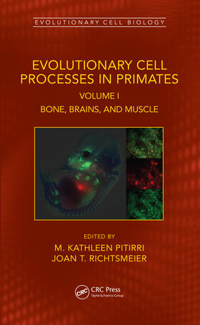Pitirri / Richtsmeier |  Evolutionary Cell Processes in Primates | Buch |  Sack Fachmedien