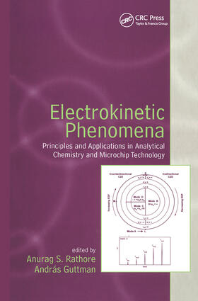 Rathore / Guttman |  Electrokinetic Phenomena | Buch |  Sack Fachmedien