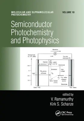 Ramamurthy / Schanze |  Semiconductor Photochemistry And Photophysics/Volume Ten | Buch |  Sack Fachmedien