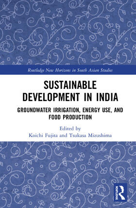 Fujita / Mizushima |  Sustainable Development in India | Buch |  Sack Fachmedien