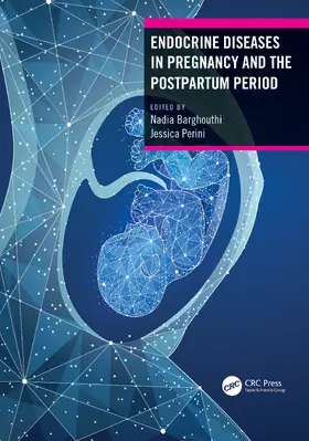 Perini / Barghouthi |  Endocrine Diseases in Pregnancy and the Postpartum Period | Buch |  Sack Fachmedien