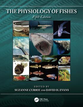 Evans / Currie |  The Physiology of Fishes | Buch |  Sack Fachmedien