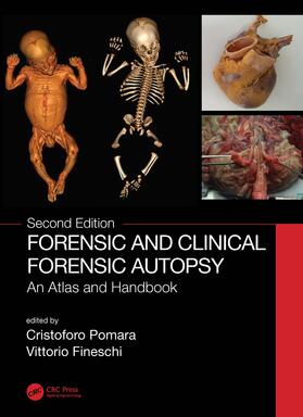 Pomara / Fineschi |  Forensic and Clinical Forensic Autopsy | Buch |  Sack Fachmedien