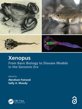 Fainsod / Moody |  Xenopus | Buch |  Sack Fachmedien