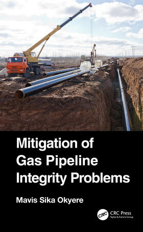 Okyere |  Mitigation of Gas Pipeline Integrity Problems | Buch |  Sack Fachmedien