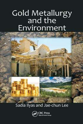 Ilyas / Lee |  Gold Metallurgy and the Environment | Buch |  Sack Fachmedien