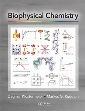 Klostermeier / Rudolph |  Biophysical Chemistry | Buch |  Sack Fachmedien