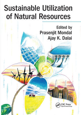 Mondal / Dalai |  Sustainable Utilization of Natural Resources | Buch |  Sack Fachmedien
