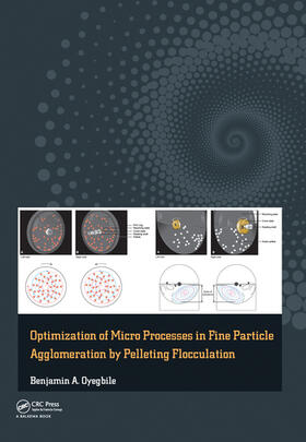 Oyegbile |  Optimization of Micro Processes in Fine Particle Agglomeration by Pelleting Flocculation | Buch |  Sack Fachmedien