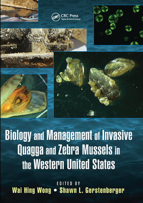 Wong / Gerstenberger |  Biology and Management of Invasive Quagga and Zebra Mussels in the Western United States | Buch |  Sack Fachmedien