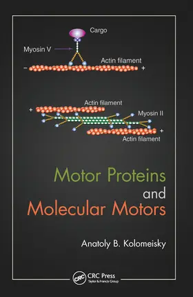 Kolomeisky |  Motor Proteins and Molecular Motors | Buch |  Sack Fachmedien