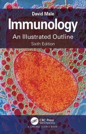 Male |  Immunology | Buch |  Sack Fachmedien