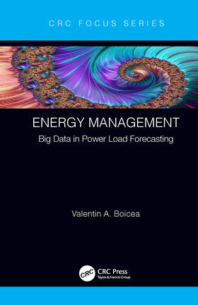 Boicea |  Energy Management | Buch |  Sack Fachmedien