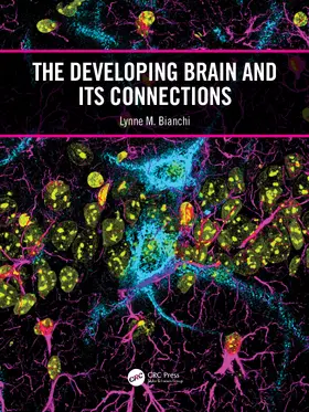 Bianchi |  The Developing Brain and its Connections | Buch |  Sack Fachmedien