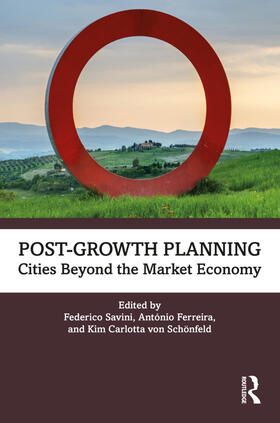 Ferreira / Savini / Schonfeld |  Post-Growth Planning | Buch |  Sack Fachmedien