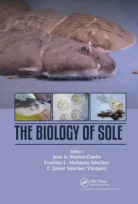 Mañanós-Sánchez / Munoz-Cueto / Sánchez-Vázquez |  The Biology of Sole | Buch |  Sack Fachmedien