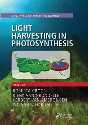 Croce / van Grondelle / van Amerongen |  Light Harvesting in Photosynthesis | Buch |  Sack Fachmedien