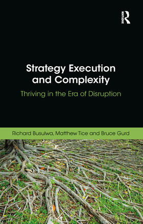 Busulwa / Tice / Gurd |  Strategy Execution and Complexity | Buch |  Sack Fachmedien