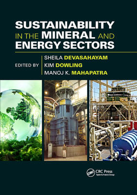 Devasahayam / Dowling / Mahapatra |  Sustainability in the Mineral and Energy Sectors | Buch |  Sack Fachmedien