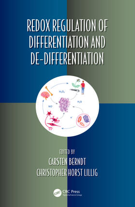 Berndt / Lillig |  Redox Regulation of Differentiation and De-differentiation | Buch |  Sack Fachmedien
