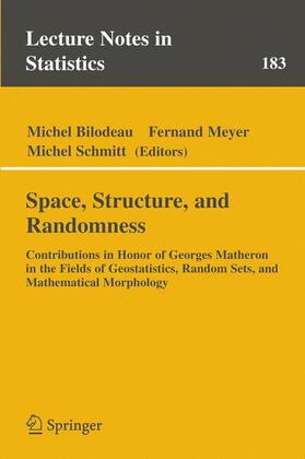 Bilodeau / Schmitt / Meyer |  Space, Structure and Randomness | Buch |  Sack Fachmedien