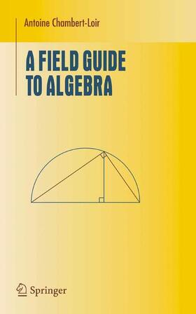 Chambert-Loir |  A Field Guide to Algebra | Buch |  Sack Fachmedien