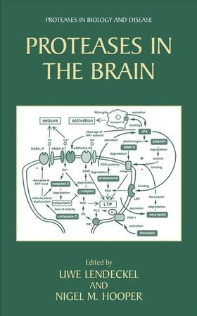 Lendeckel / Hooper |  Proteases in the Brain | Buch |  Sack Fachmedien