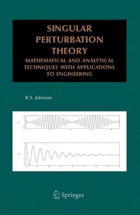 Johnson |  Singular Perturbation Theory | Buch |  Sack Fachmedien