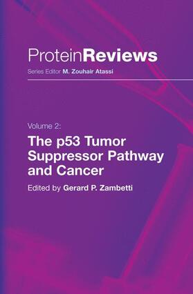 Zambetti |  The p53 Tumor Suppressor Pathway and Cancer | Buch |  Sack Fachmedien