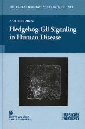Ruiz i Altaba |  Hedgehog-Gli Signaling in Human Disease | Buch |  Sack Fachmedien