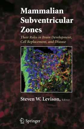 Levison |  Mammalian Subventricular Zones | Buch |  Sack Fachmedien