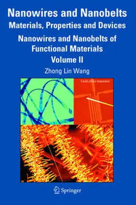 Wang |  Nanowires and Nanobelts: Materials, Properties and Devices | eBook | Sack Fachmedien