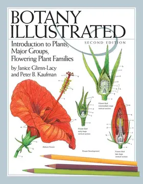 Glimn-Lacy / Kaufman |  Botany Illustrated | Buch |  Sack Fachmedien